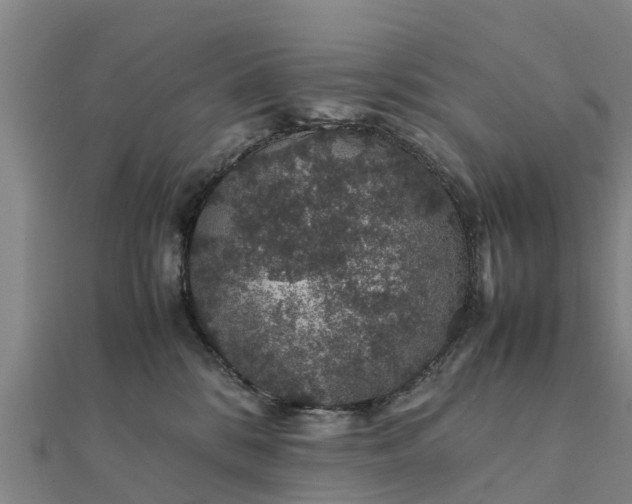 X0000112110328200908181353