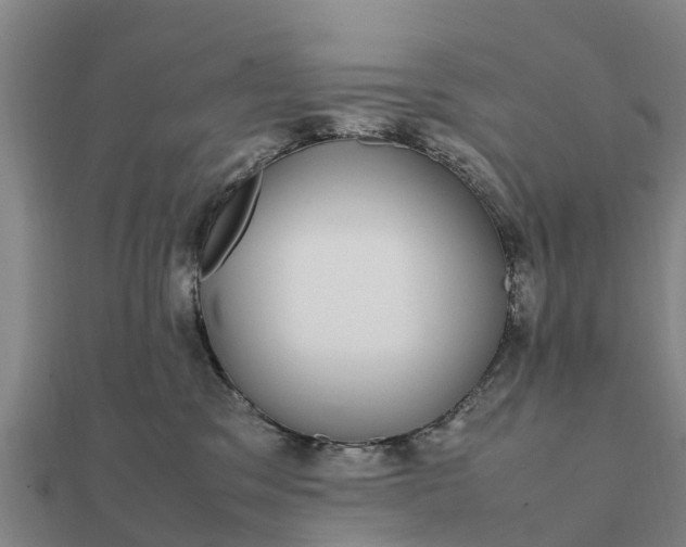 X0000112110329200908181353