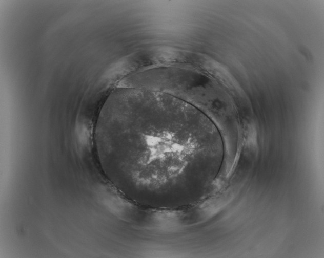 X0000112110332200908181353