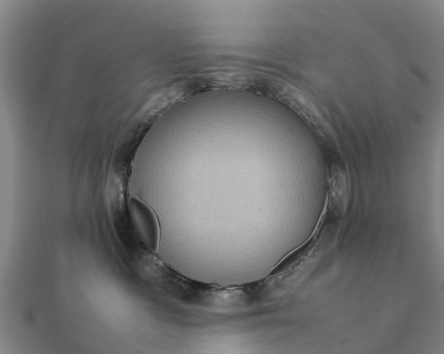 X0000112110333200908181353