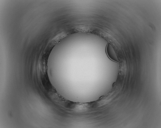 X0000112110334200908181353