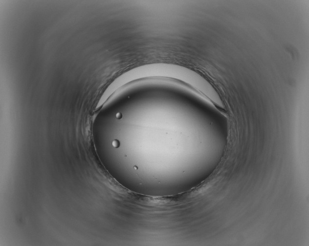 X0000112110336200908181353