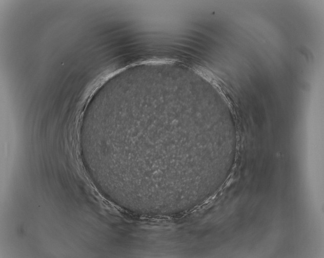 X0000112110337200908181352