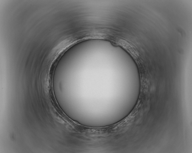 X0000112110338200908181352