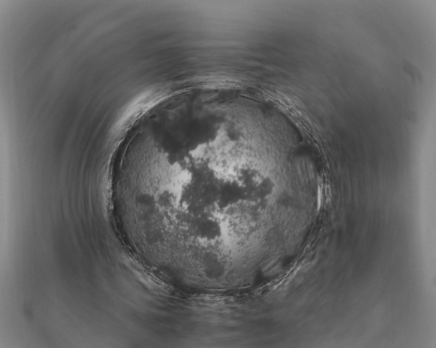 X0000112110339200908181352