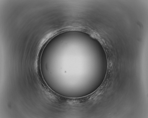 X0000112110340200908181353