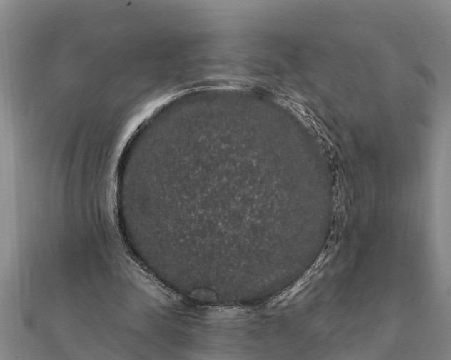 X0000112110342200908181353