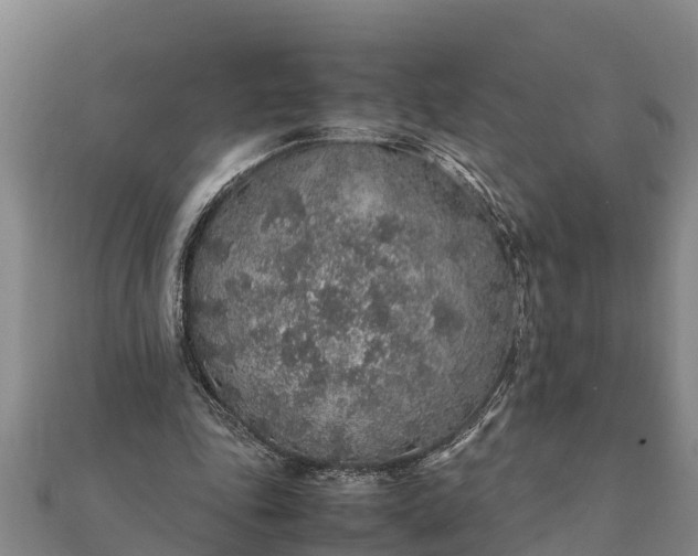 X0000112110343200908181353