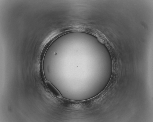 X0000112110344200908181353