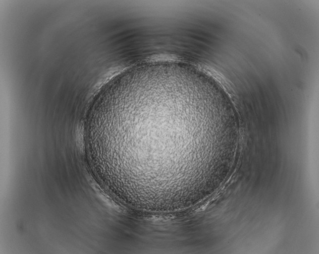 X0000112110345200908181353