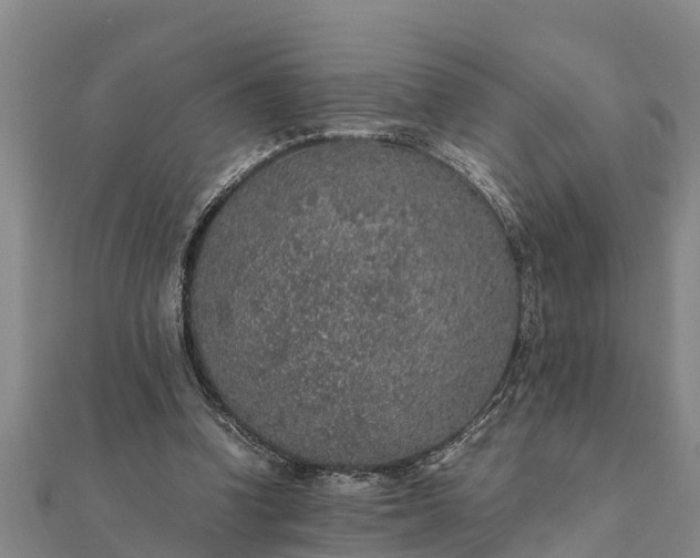 X0000112110346200908181353