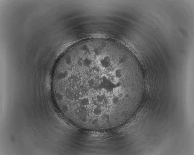 X0000112110347200908181353