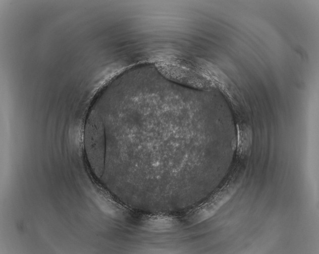 X0000112110348200908181353