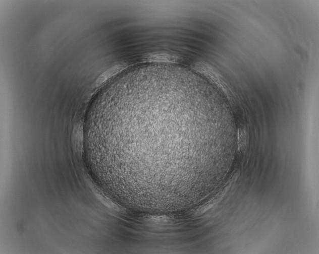 X0000112110349200908181353