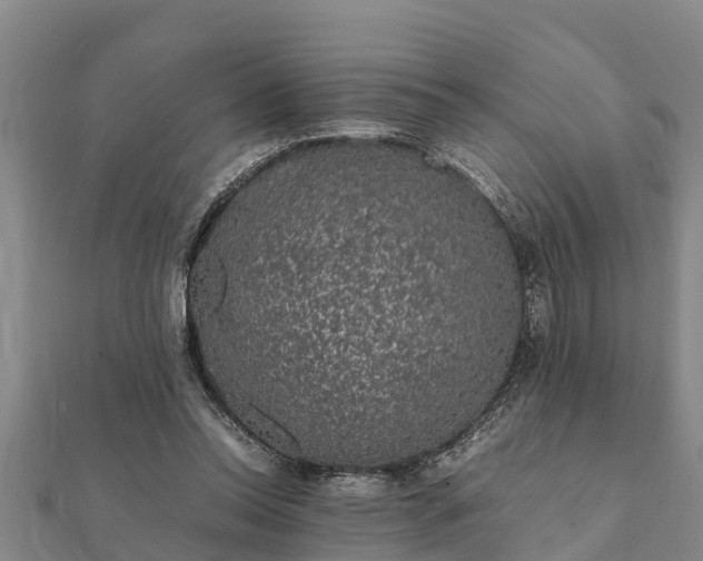 X0000112110350200908181353