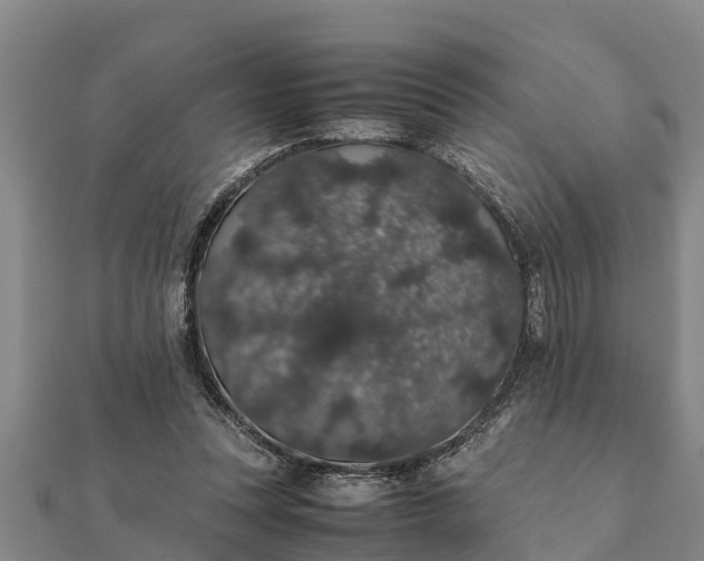 X0000112110351200908181353