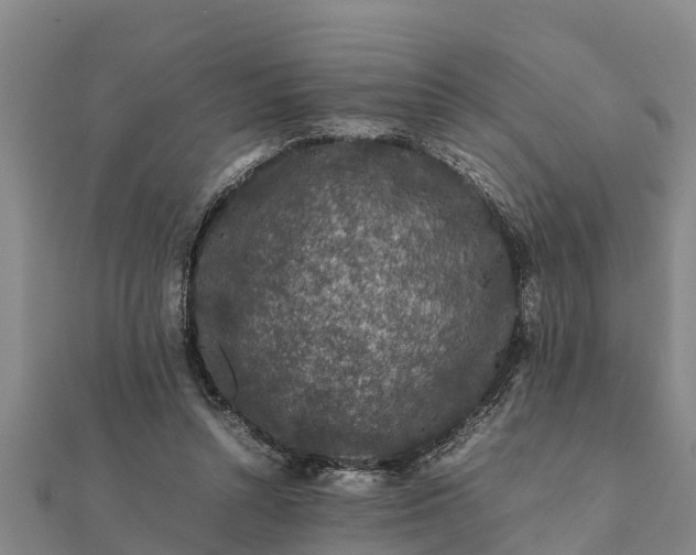 X0000112110352200908181353