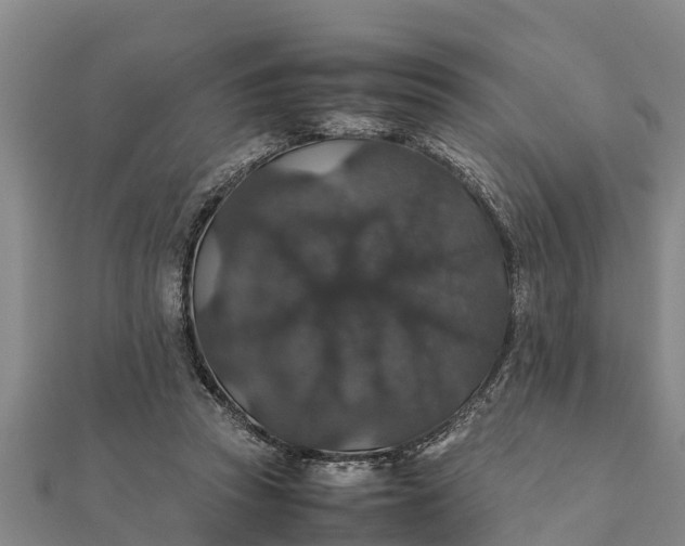 X0000112110353200908181353