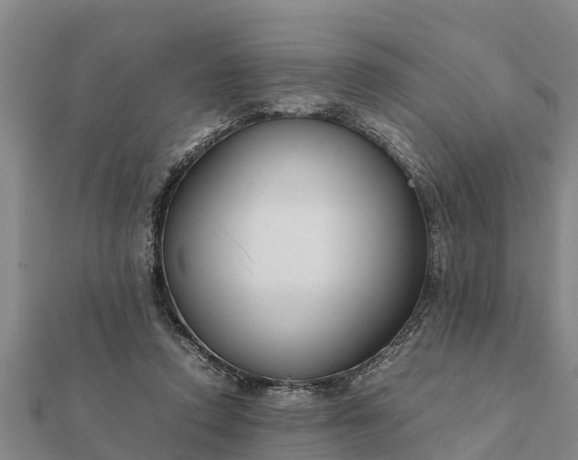 X0000112110354200908181353