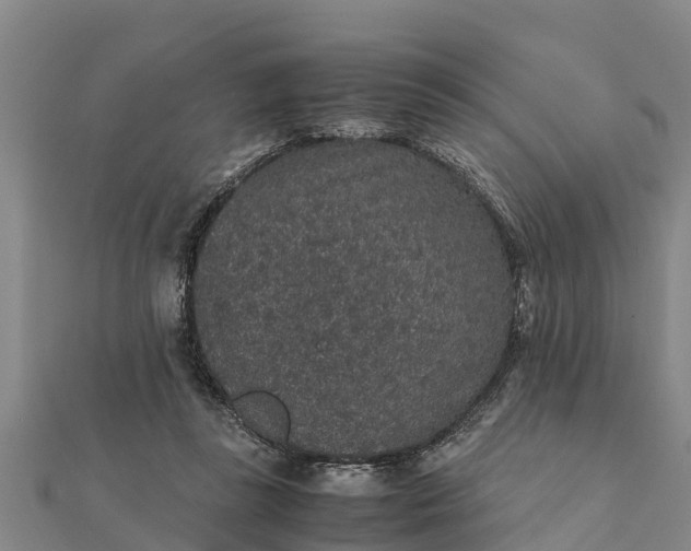 X0000112110355200908181353