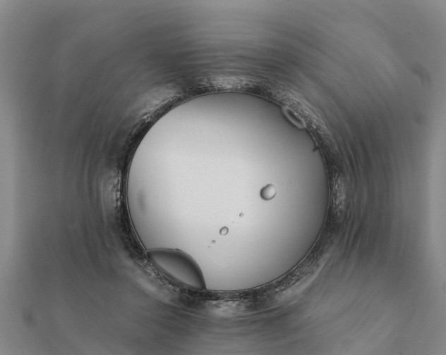 X0000112110356200908181353