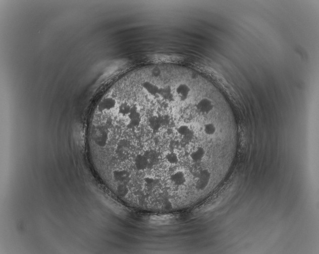 X0000112110357200908181353