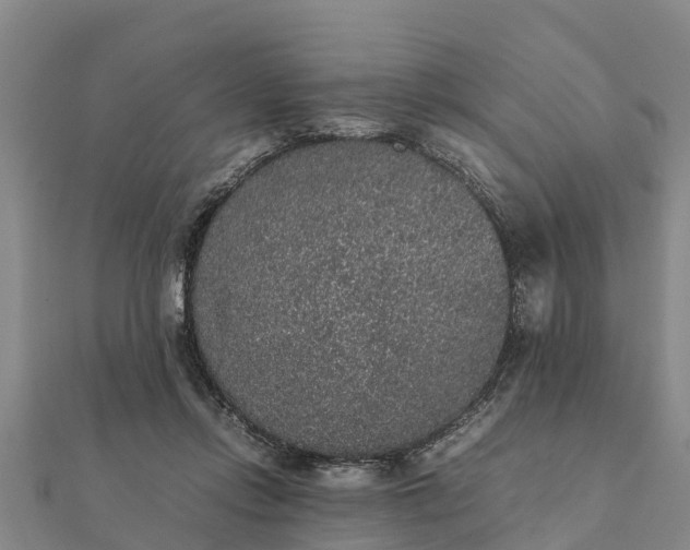 X0000112110358200908181353