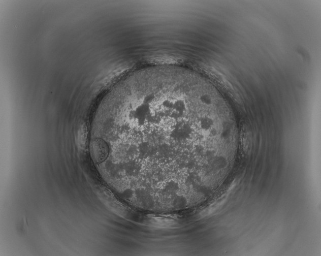 X0000112110359200908181353