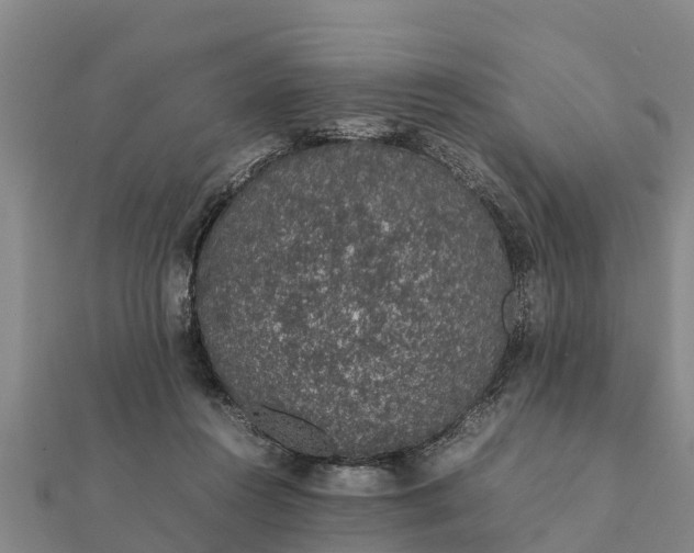 X0000112110360200908181353