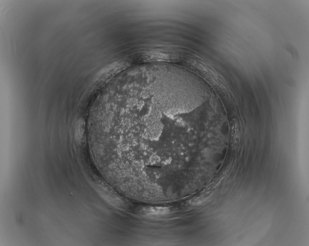 X0000112110361200908181353