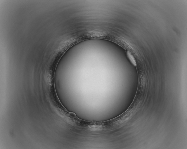 X0000112110362200908181353