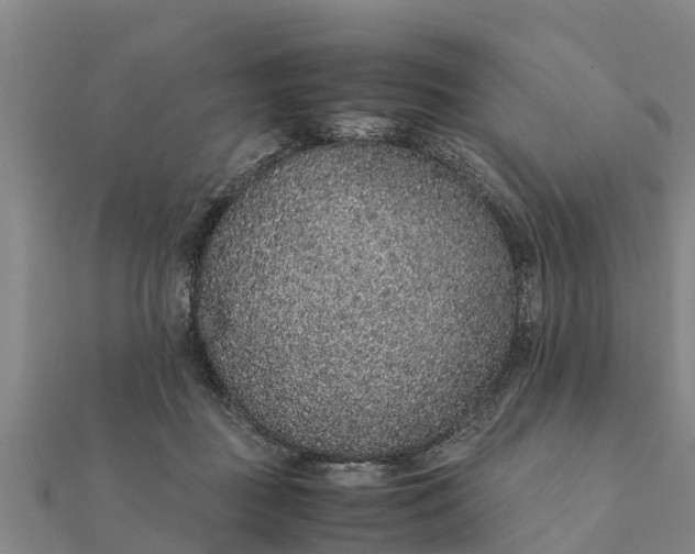 X0000112110363200908181353