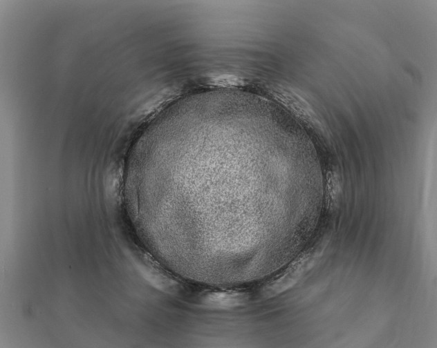 X0000112110364200908181353