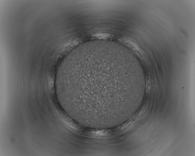 X0000112110365200908181353