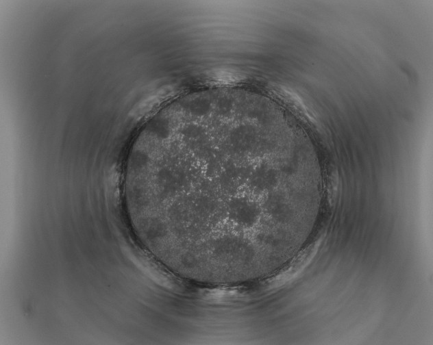 X0000112110366200908181353