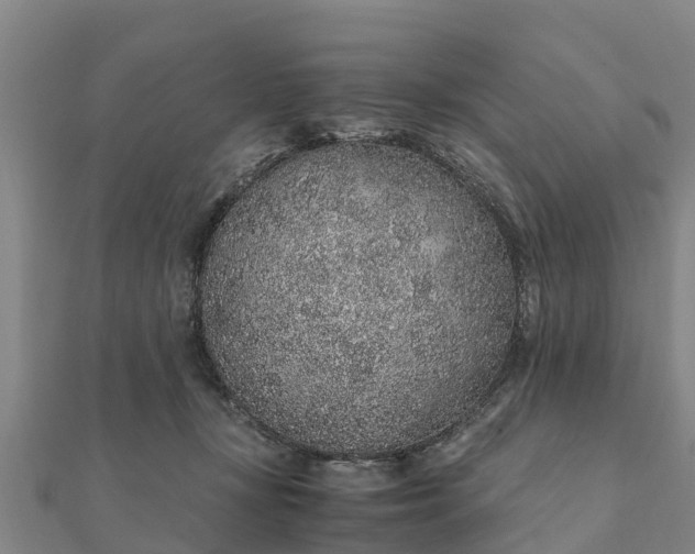 X0000112110367200908181353