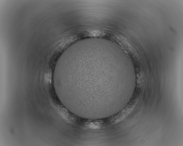 X0000112110368200908181353