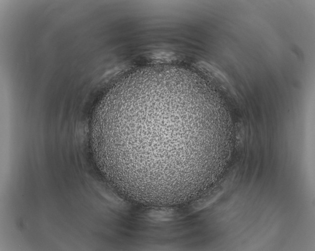 X0000112110369200908181353