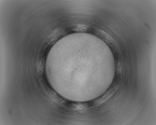 X0000112110370200908181353