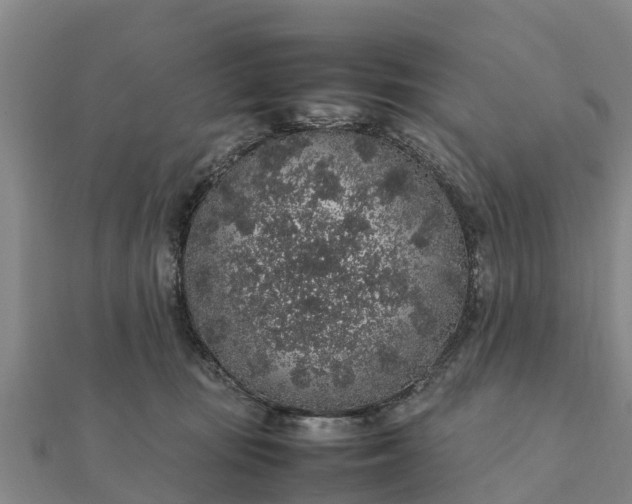 X0000112110371200908181353