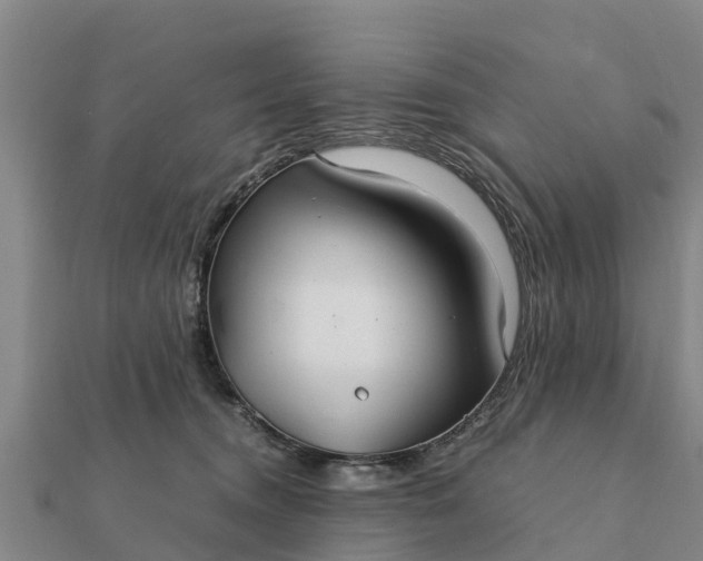 X0000112110372200908181353