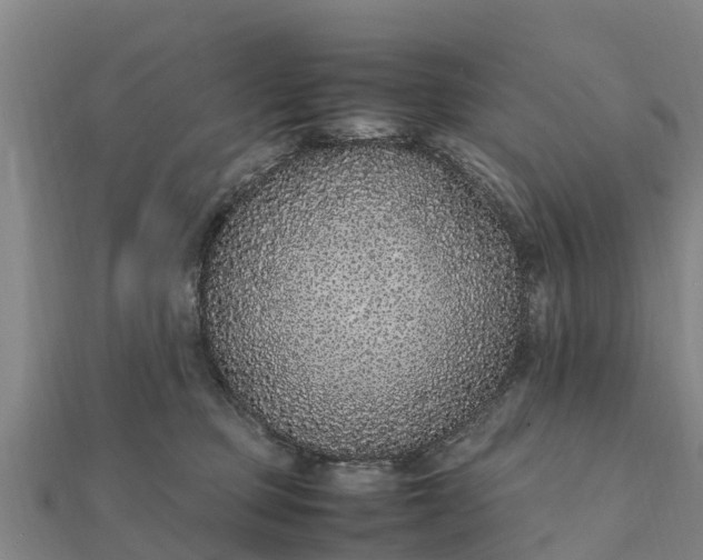 X0000112110373200908181353