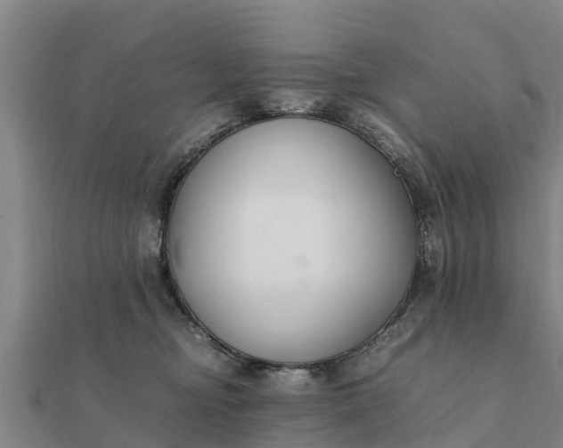 X0000112110374200908181353