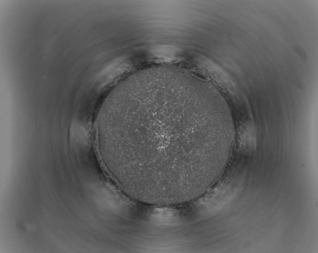 X0000112110376200908181353