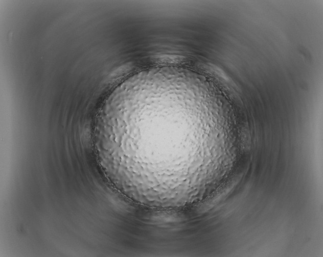 X0000112110377200908181353