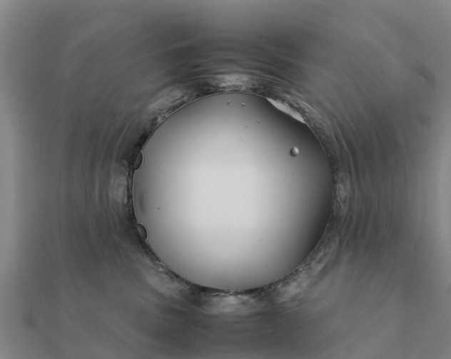 X0000112110379200908181353