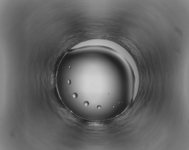 X0000112110380200908181353