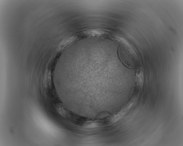 X0000112110381200908181353