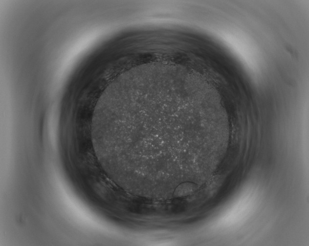 X0000112110383200908181353