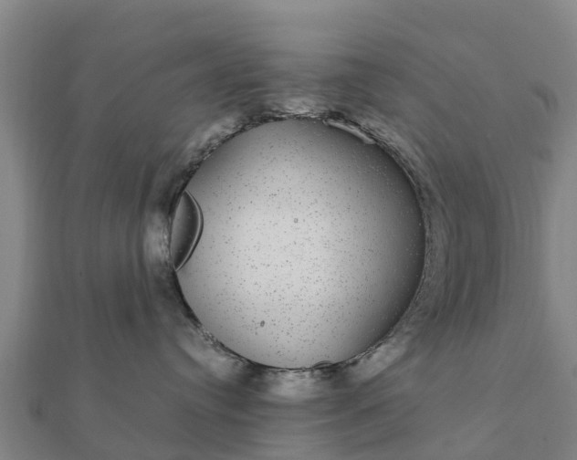 X0000112110384200908181353